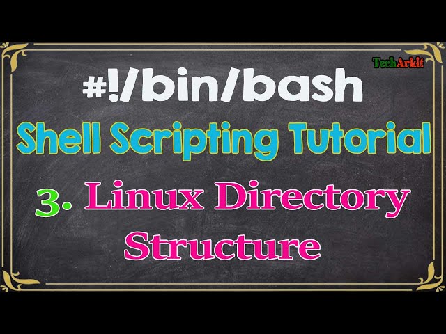 Shell Scripting Tutorial-3 Linux Directory Structure Amazing way to understand | Tech Arkit