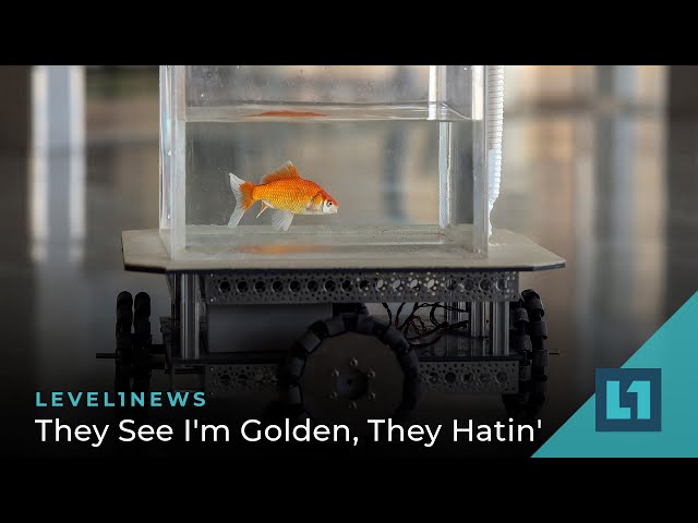 Level1 News January 14 2022: They See I'm Golden, They Hatin'