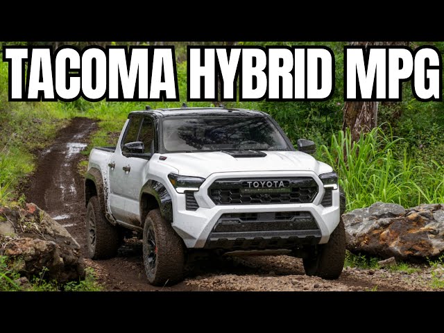 Doing Detective Work To Find 2024 Tacoma iFORCE MAX Price/MPG - Estimated