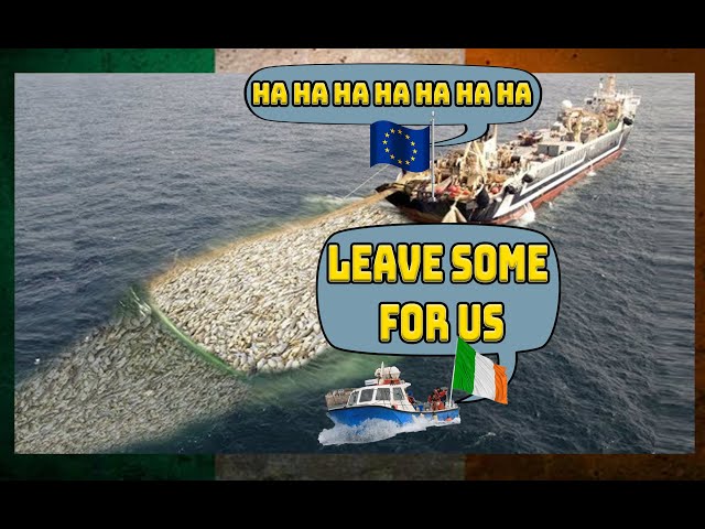 IREXIT?  the EU are DESTROYING Irish fishing,sound familiar?