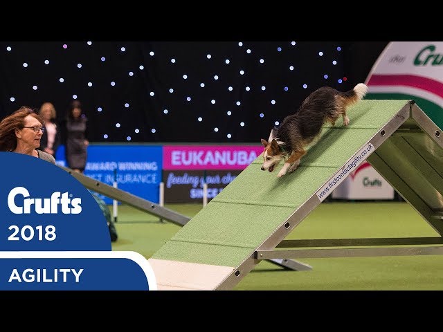 Agility - Championship Final | Crufts 2018