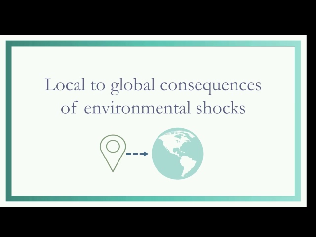 Seminar: Local to global consequences of environmental shocks