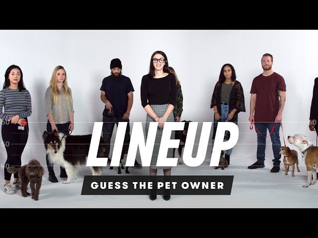 Match the Dog to Their Owner | Lineup | Cut