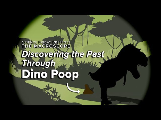 Discovering the Past Through Dino Poop