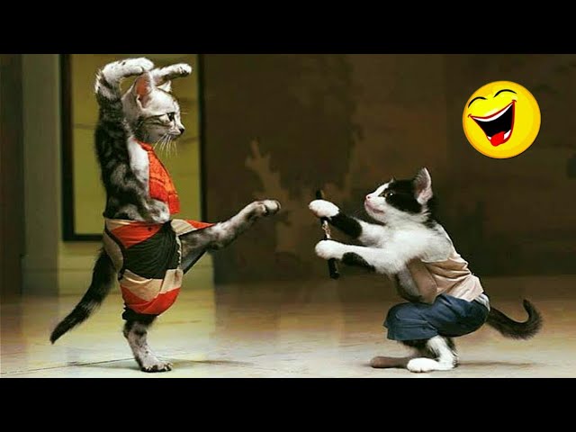 Best Funny Animals Videos 2024 😆 | Funny and Cute Cats 🐈 and Dogs 🐕 Videos 3