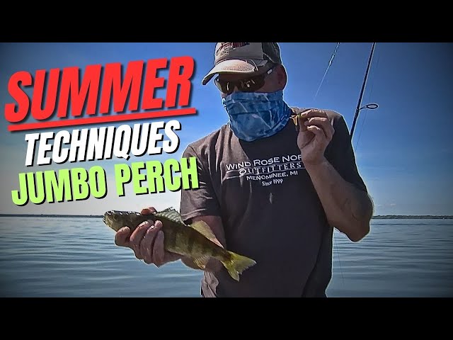 Fishing For Jumbo Perch / Summer Techniques