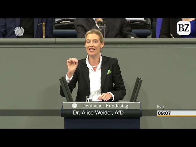 So trocken reagiert Merkel auf Weidels Erklärung zur Spendenaffäre