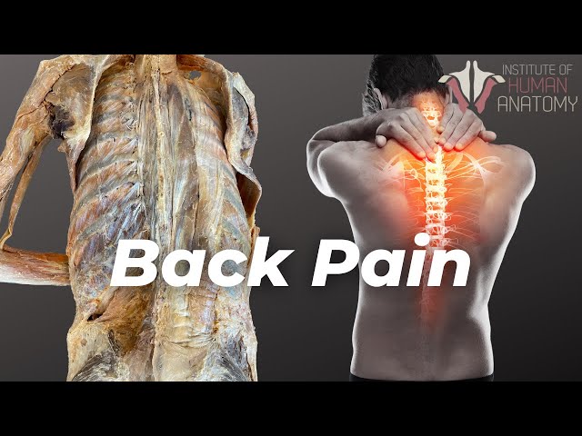This Is What's Causing Your Back Pain
