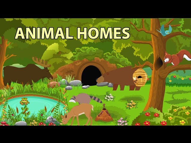 Animal Homes Vocabulary for Kids