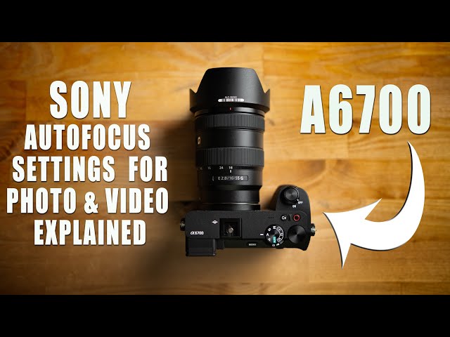 Sony AUTOFOCUS Settings For PHOTO & VIDEO Explained | Using A6700