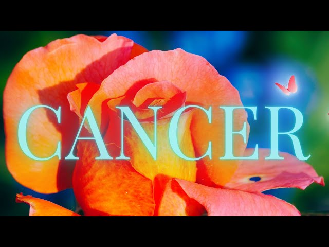 Cancer 11:11 💗⚖️ Karmic Cycle Is Ending, They Want To Speak From The Heart!