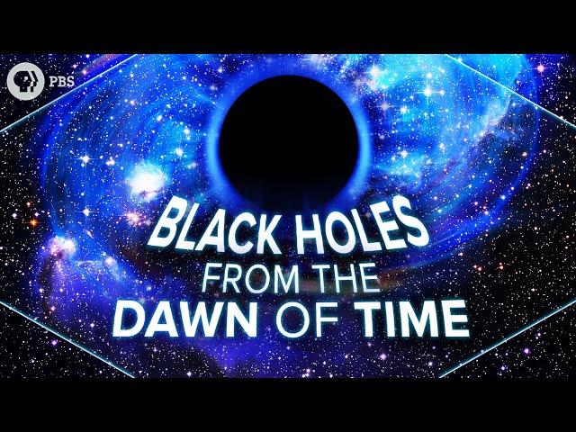 Black Holes from the Dawn of Time
