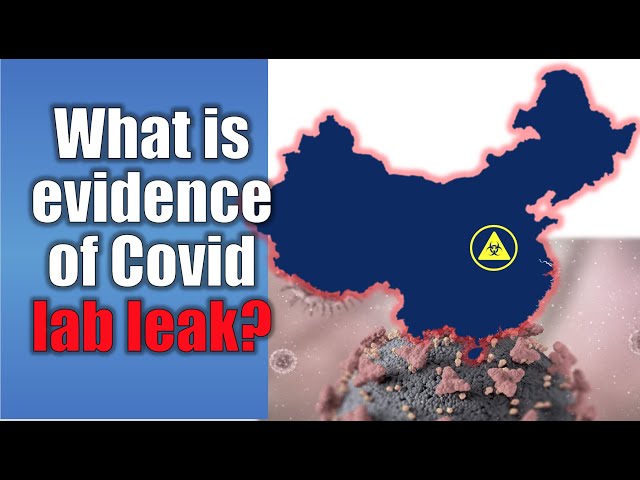 Did SARS-CoV-2 Leak from Wuhan Lab? | Covid Origin Evidence Explained