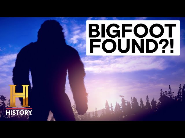 The Proof Is Out There: 5 Mysterious Bigfoot Encounters