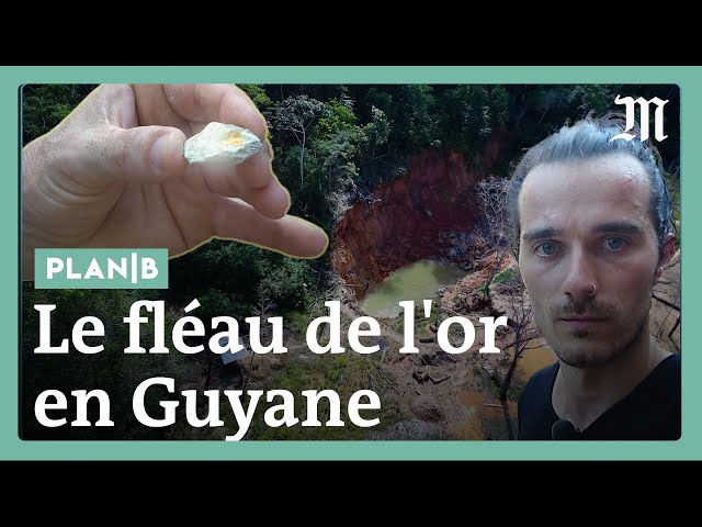 Guyane : sur la piste des chercheurs d’or illégaux