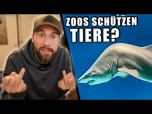 Ich kann die SCHEI*E nicht mehr hören! - Zoos schützen Tiere? | Robert Marc Lehmann