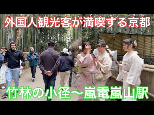 2024年3月19日 外国人観光客が満喫する京都 嵐山竹林の小径を歩く Walking along the path of Arashiyama Bamboo Forest 【4K】