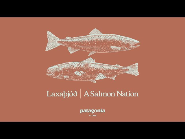 Laxaþjóð | A Salmon Nation | Patagonia Films