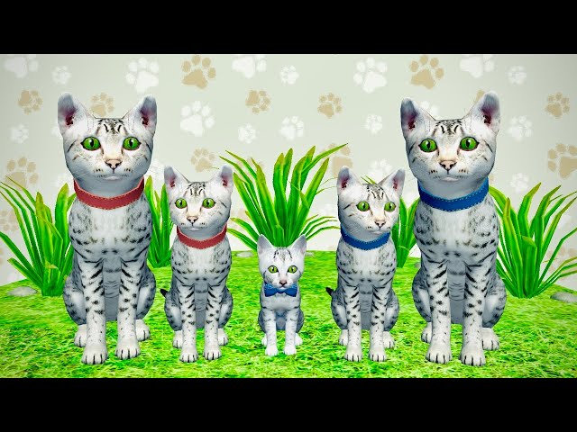 My Little Cat Simulator : Kitties Family NEW Adventure Games iOS - Play Fun Cute Kitten #12