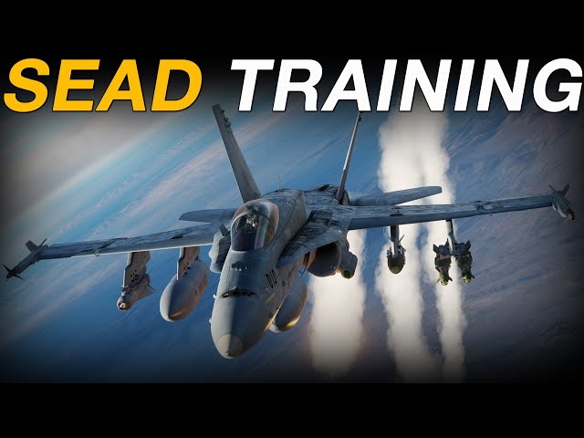 DCS F/A-18C Hornet SEAD - DEAD & Buddy Lasing Training!