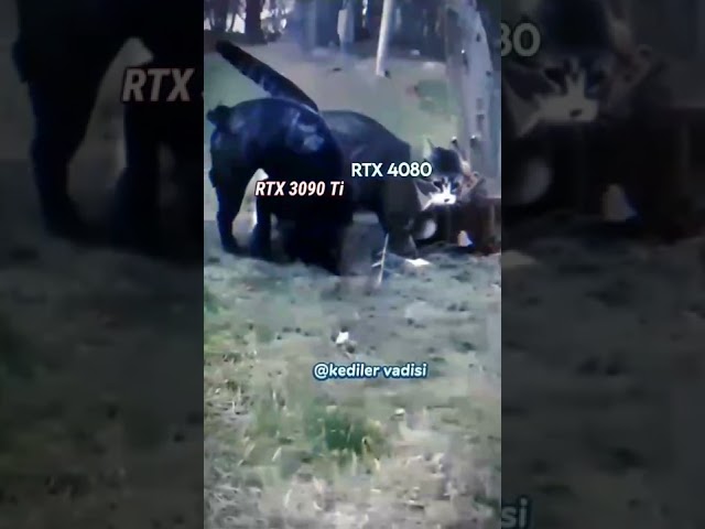 RTX 4080 vs RTX 3090 ti