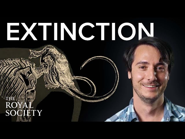 Gigantism and the age of extinction | The Royal Society