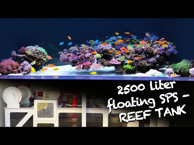 REEF TANK TOURS - exclusive SPS floating REEF - 2500 liter HIGH CLASS SETUP