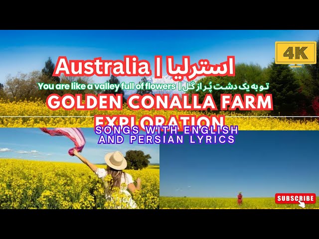 Golden Conalla Farm Exploration: Songs with English and Persian Lyrics | تـو به یک دشـت پُـر از گُـل