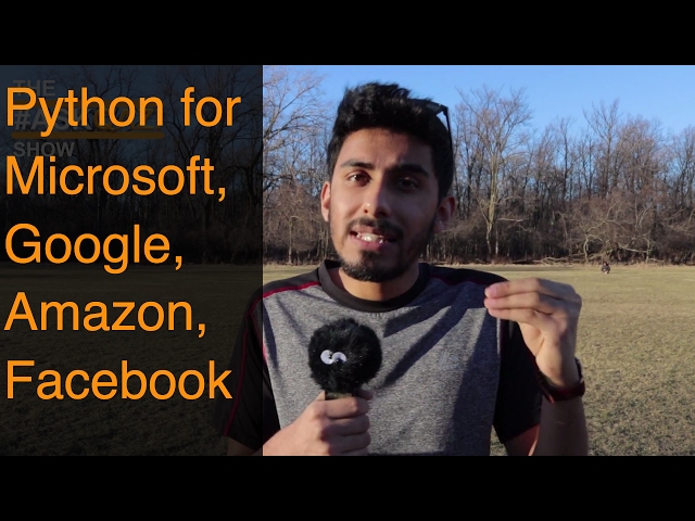How Much Python Should I Learn for Big 4 (Microsoft, Google, Amazon, Facebook)? | #AskQazi 4