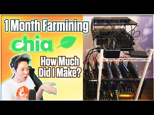 Chia Farming Setup and Profits | 1 Month Progress
