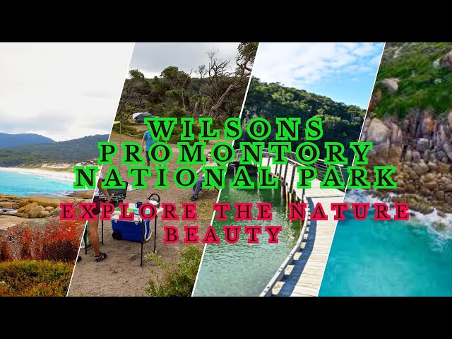 Wilsons Promontory: Uncover Nature's Wonders | Visual Journey into Australia's Paradise