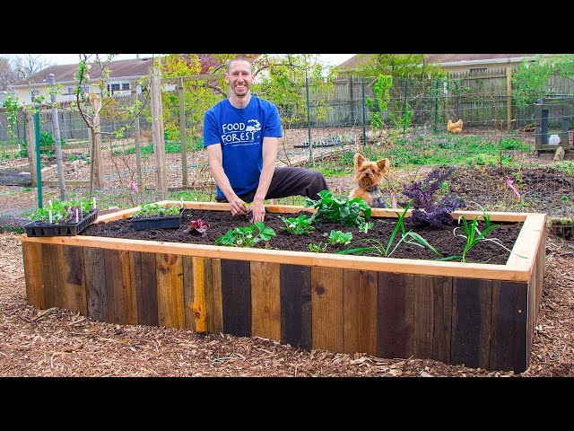 How to Build a RAISED BED Using PALLETS, FREE Backyard Gardening