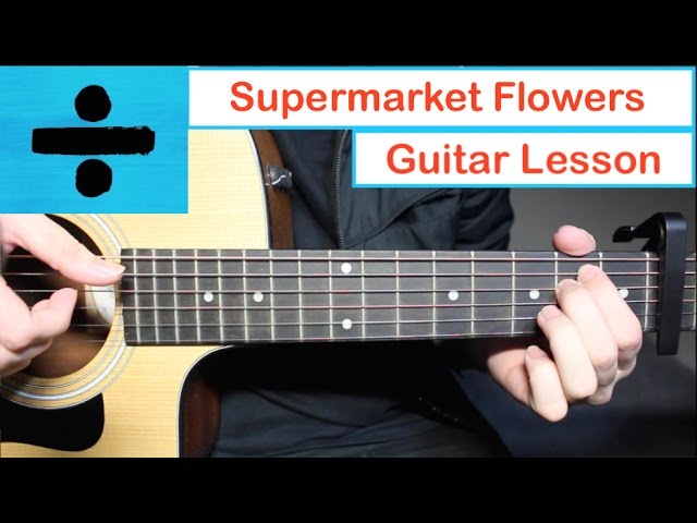 Ed Sheeran - Supermarket Flowers 💐 Guitar Lesson (Tutorial) How to play Chords
