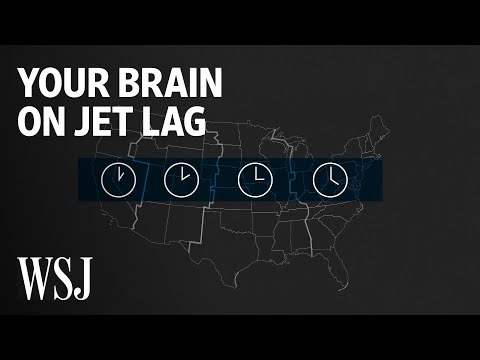 What Happens to Your Brain on Jet Lag | WSJ