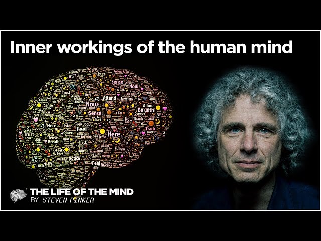 Inner Workings Of The Human Mind (S1EP3)