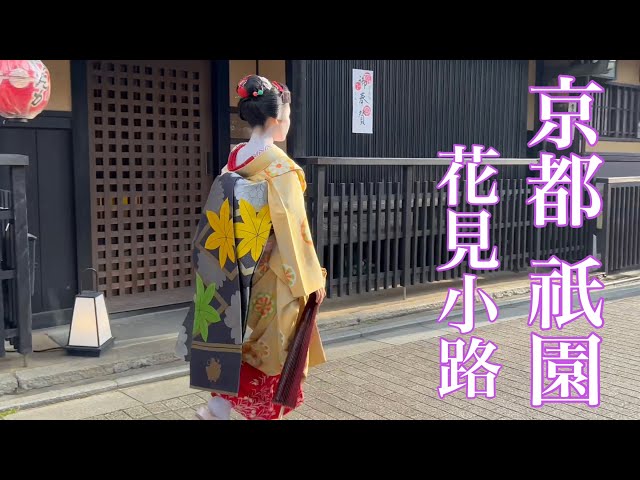 2023年7月4日 【京都祇園】外国人観光客も見惚れてしまう美しい舞妓さんたち Maiko in Gion,Kyoto 【4K】