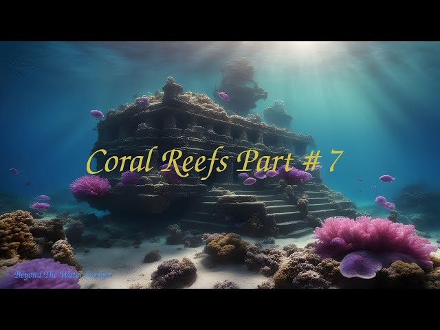 Coral Reefs Part # 7
