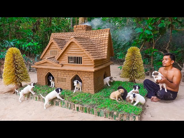 Rescue Dog and building a Dog House for Puppies