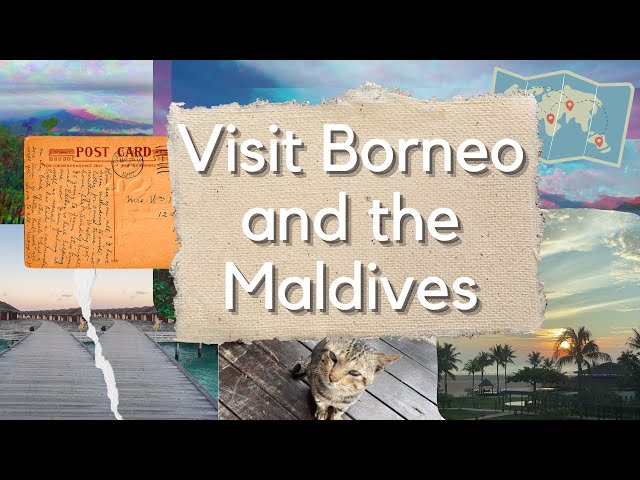 Visit Borneo and the Maldives