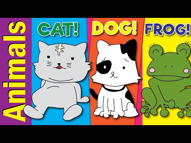 Learn Animals Names & Vocabulary | Video Flash Cards | Fun Kids English