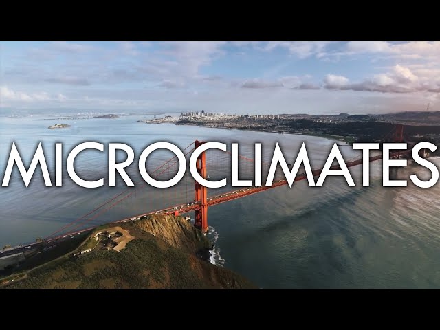 Microclimates - Sudden climatic shifts over just a few miles