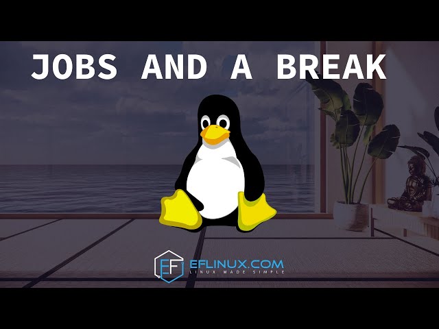 About Jobs and a Break