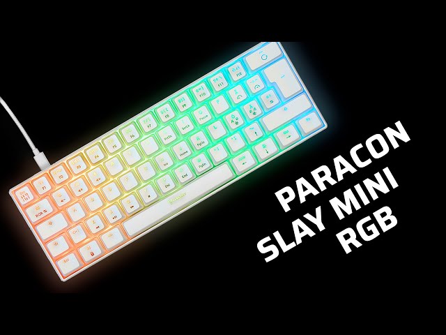 Paracon SLAY mini RGB - Mechanical Keyboard