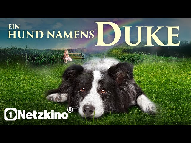 Duke (FAMILY COMEDY MOVIE in full length, dog films in German, comedy films new)