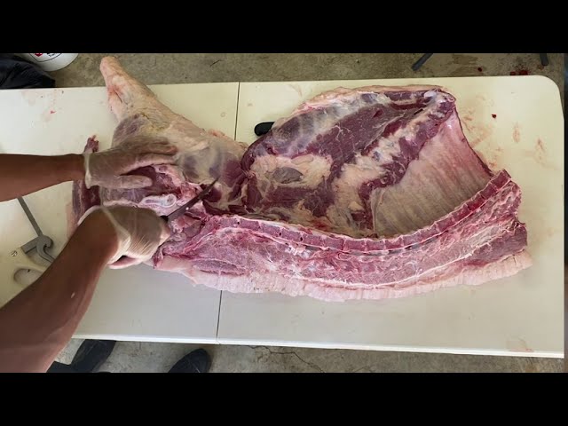 "Hog Wild Adventures: From Farm to Table - Home Pig Processing Done Right!"