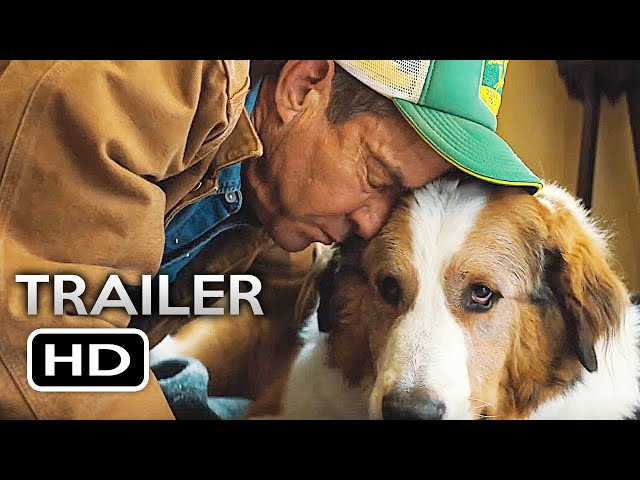 A DOG'S JOURNEY Official Trailer (2019) A Dog's Purpose 2 Movie HD