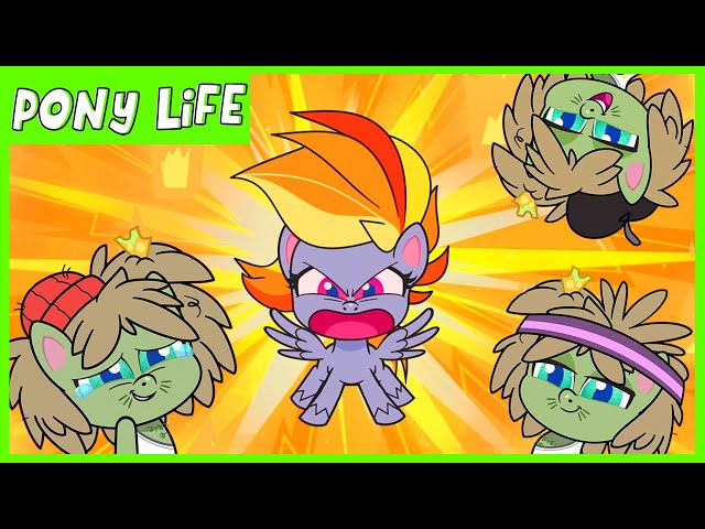 Pony Life | NEW | Rainbow Dash, Being the Worst  | MLP Pony Life