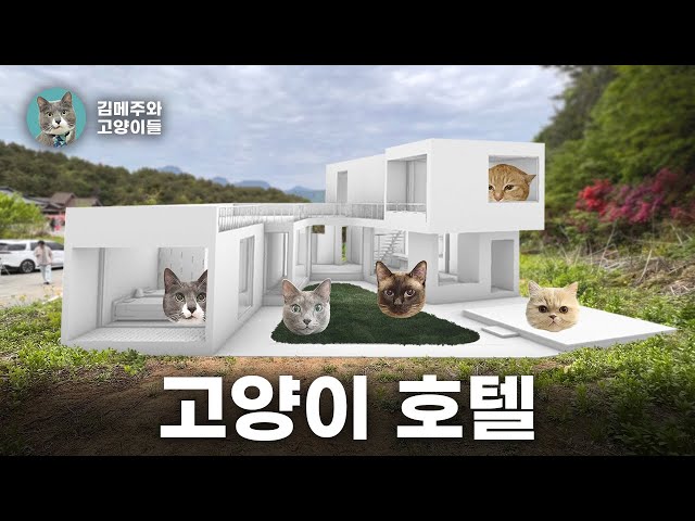 고양이들의 천국을 만들어 봤습니다 '김메주와 고양이들의 집'