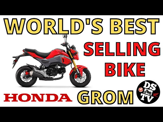 2022 Honda Grom Test and Review - Why the Grom is the Best Mini Moto