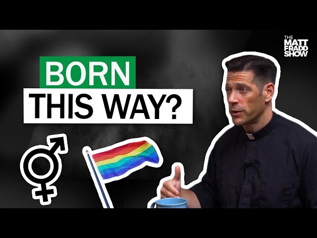 Can Someone be "Born Gay?" W/ Fr. Mike Schmitz